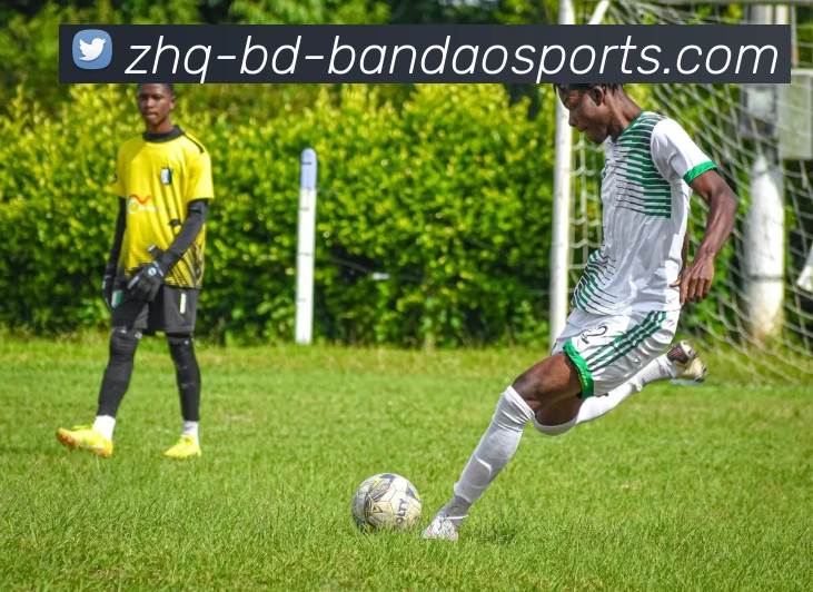 半岛体育APP 高清赛事图